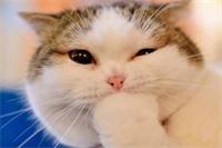 30个笑掉大牙的笑话